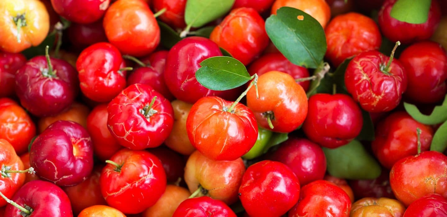 Acerola &#8211; 5 super účinkov pre zdravie
