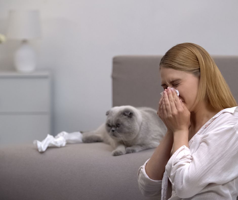 Alergia na macky moze sposobovat rozne respiracne priznaky ktore sa prejavuju vo dychacom systeme